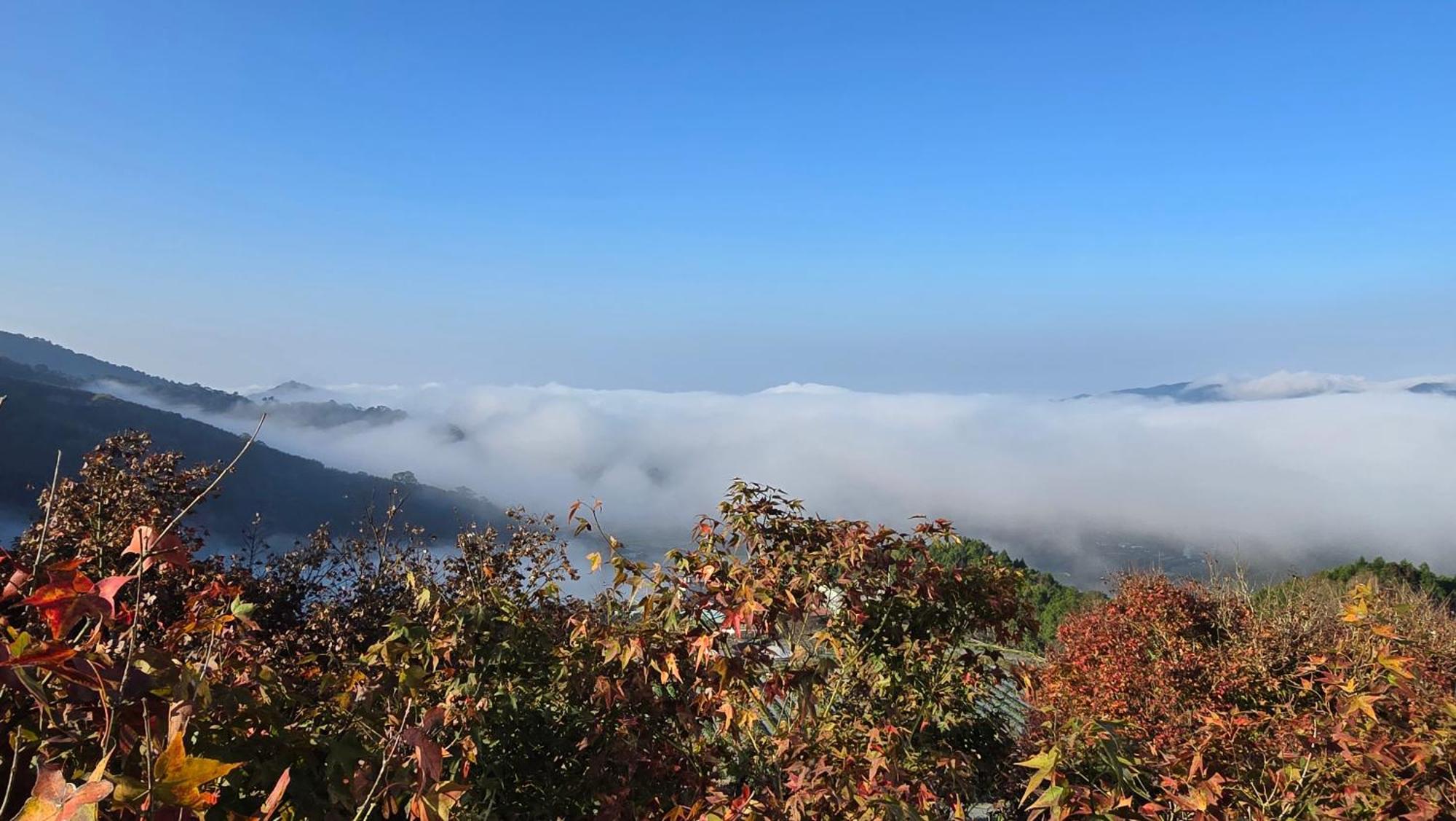 大湖乡枫叶地图住宿加早餐旅馆 外观 照片