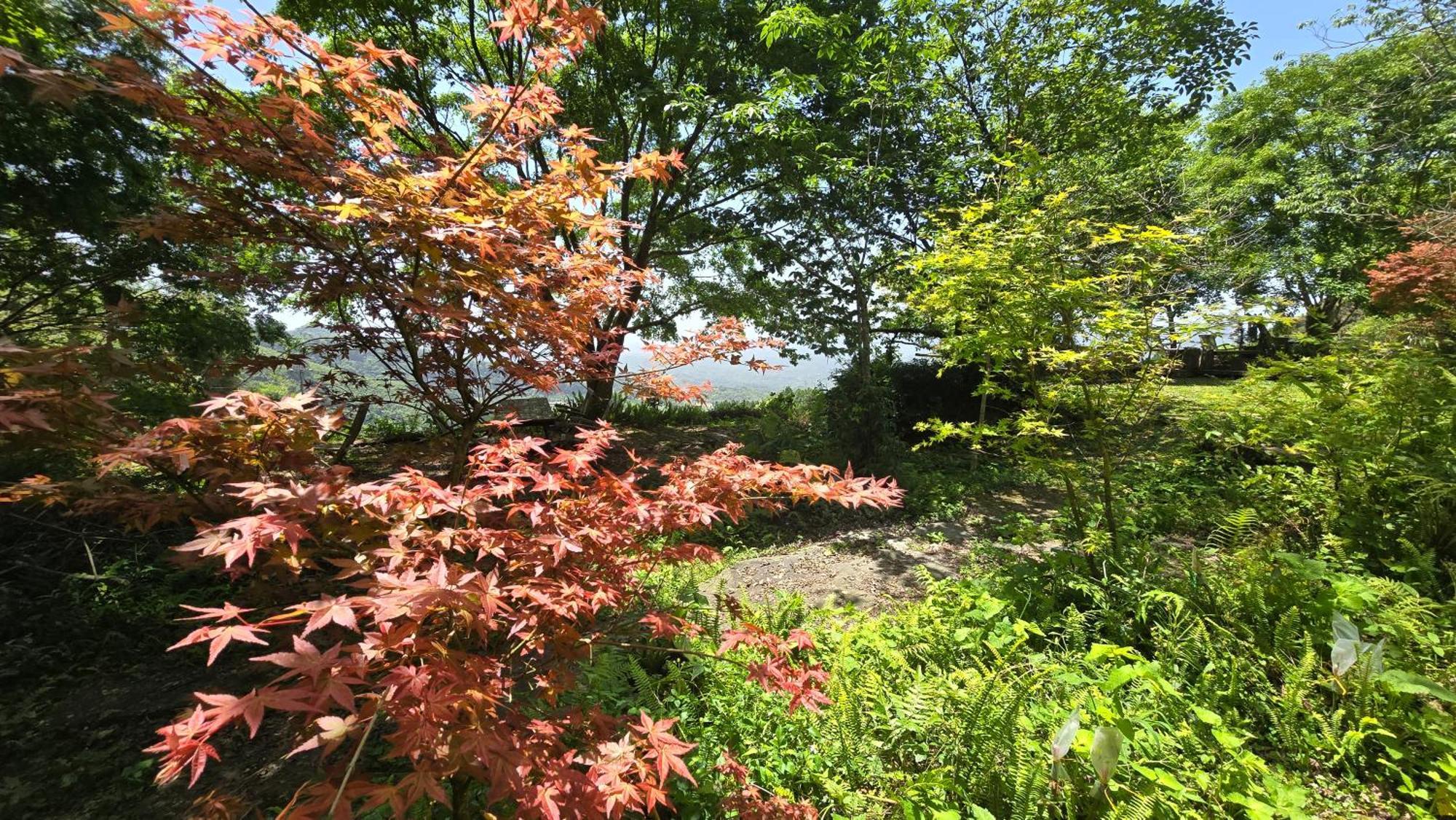 大湖乡枫叶地图住宿加早餐旅馆 外观 照片