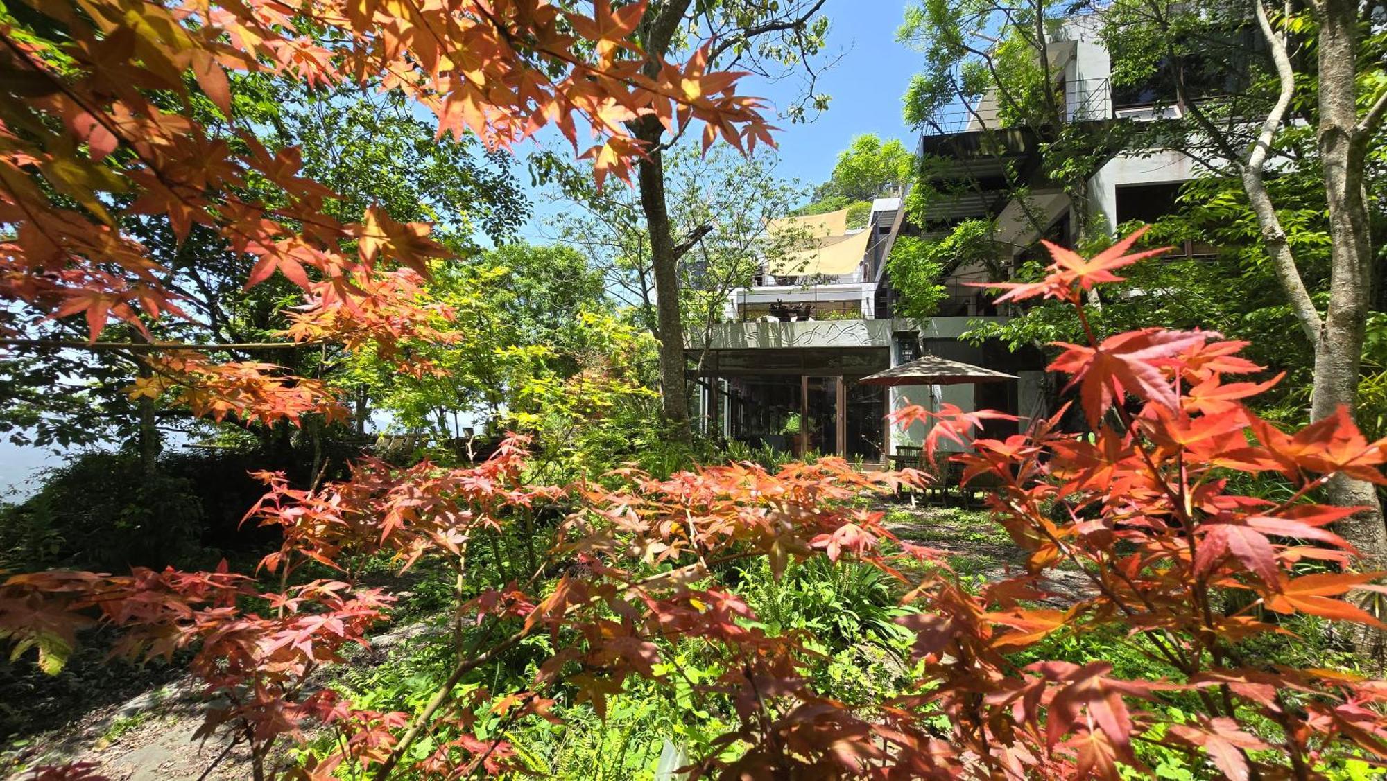 大湖乡枫叶地图住宿加早餐旅馆 外观 照片